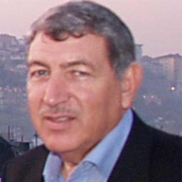 Mohammad N. AlSaeidi